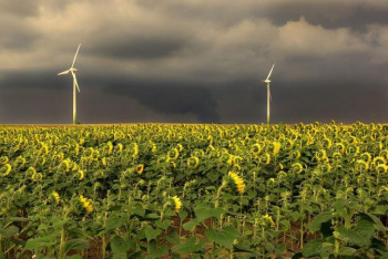 Фотография к новости: Непогоду прогнозируют синоптики в 12 областях Казахстана