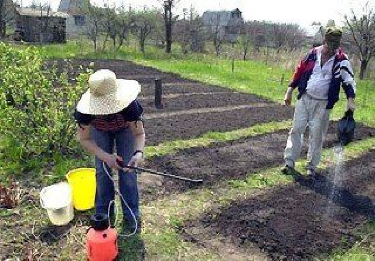 Кому противопоказана работа на даче, рассказала врач