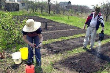 Фотография к новости: Кому противопоказана работа на даче, рассказала врач