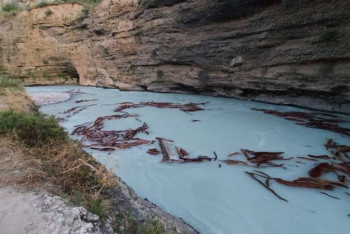 Фотография к новости: Два студента-иностранца утонули в Туркестанской области