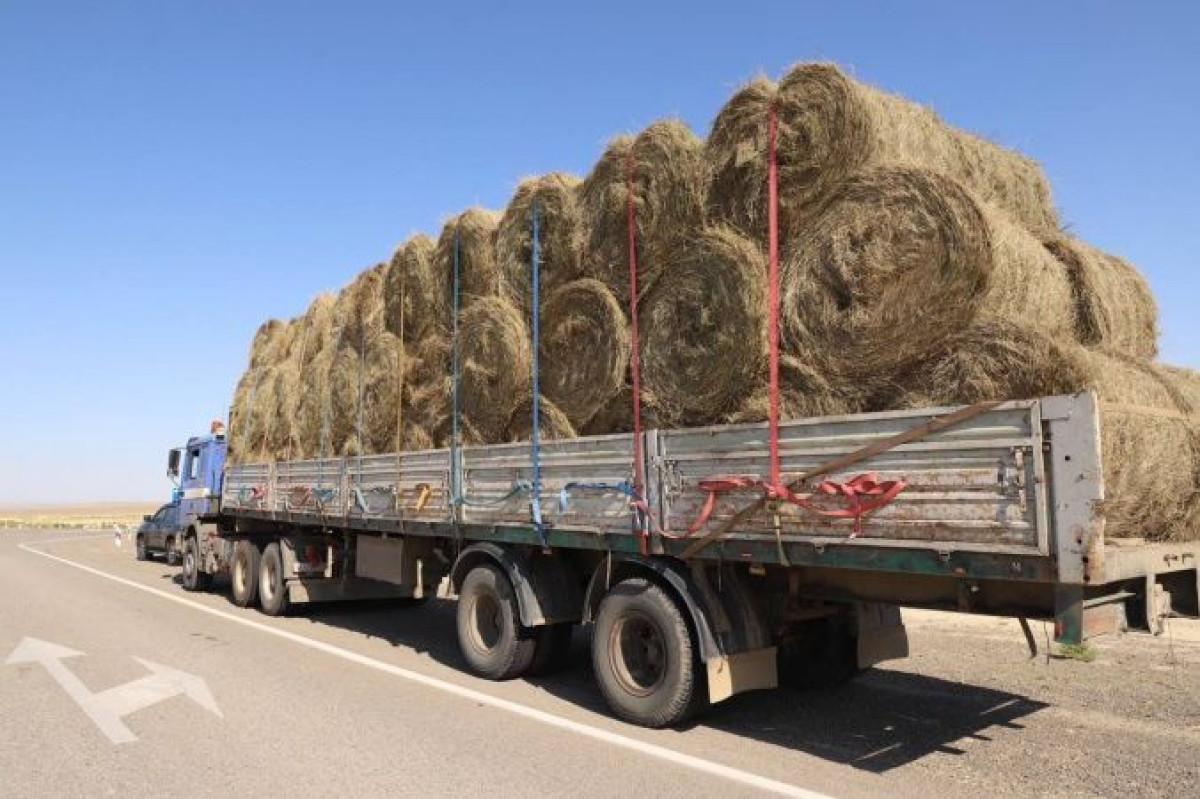 Инвестиции и помощь государства: как будет развиваться сельское хозяйство в Мангистау