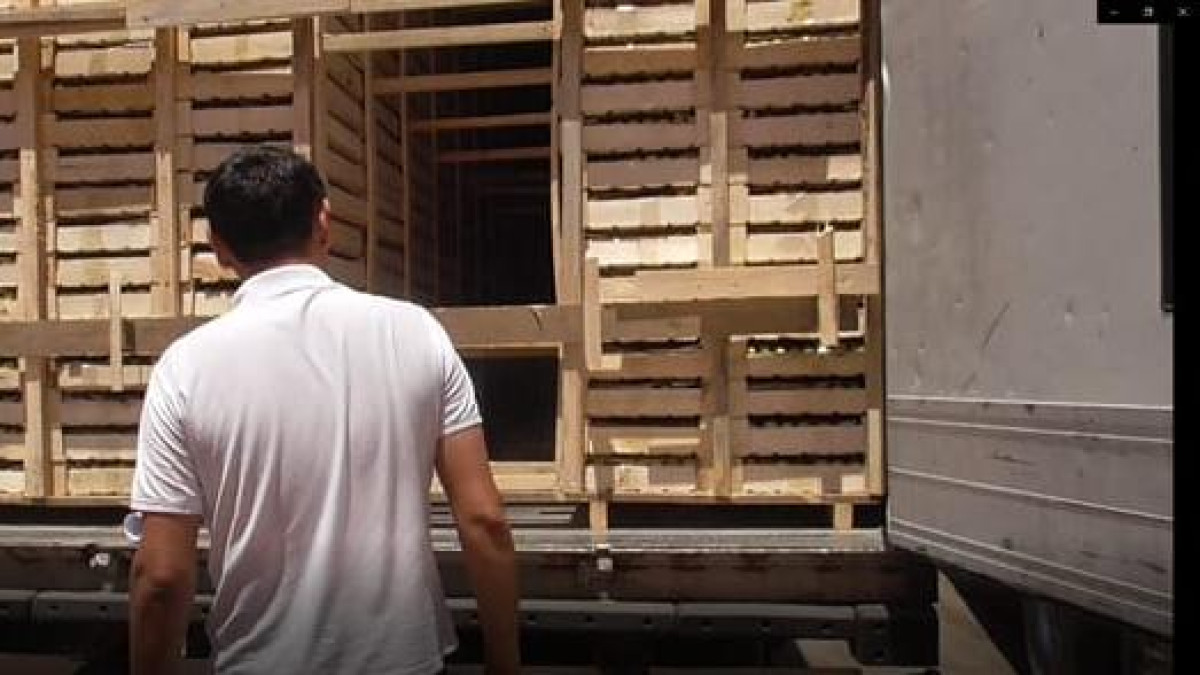 пресс-служба КГД МФ