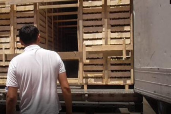 Фотография к новости: Пресечена попытка незаконного ввоза нектарина из Узбекистана на 5,5 миллиона тенге