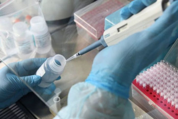 Заболеваемость COVID-19 в мире вновь растёт после нескольких месяцев спада