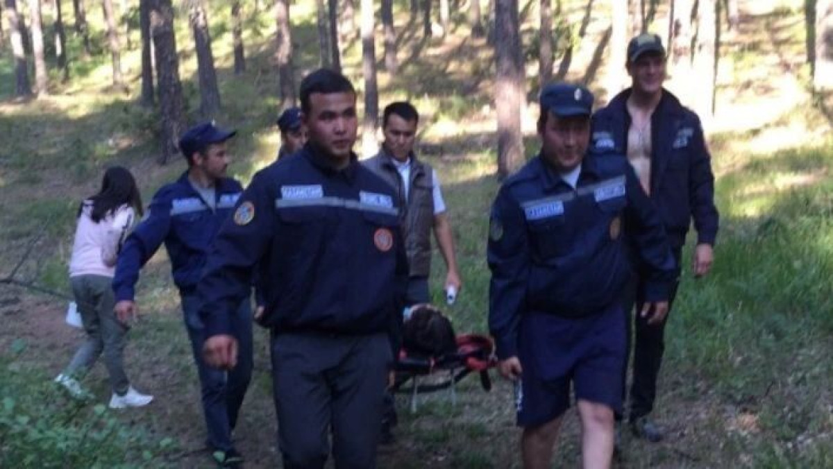 пресс-служба ДЧС Акмолинской области