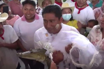 Фотография к новости: Мэр мексиканского города Сан-Педро-Уамелула Соса женился на аллигаторе