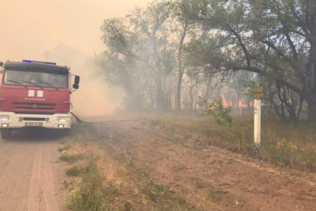 Фотография к новости: Порывистый ветер не даёт потушить пожар в Караганде