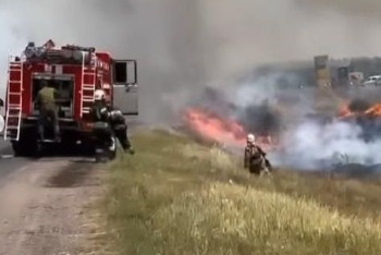 Фотография к новости: Сильный пожар в лесопосадке близ Караганды локализован