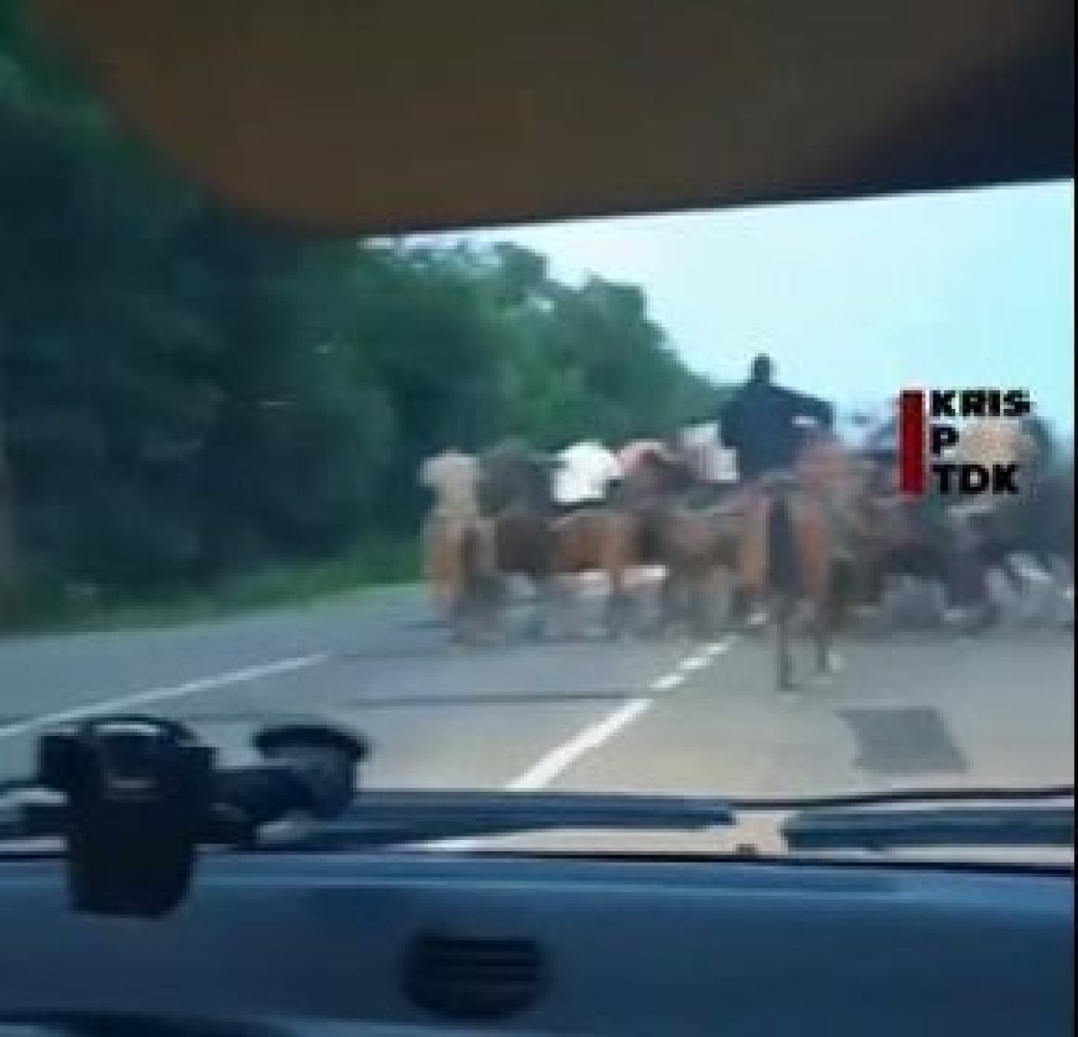 скриншот с видео