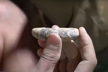 Фотография к новости: Предметы быта первобытного человека обнаружили в пещере под Туркестаном