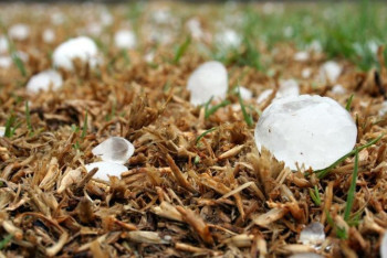 Фотография к новости: Грозы и град прогнозируют синоптики в Нур-Султане и ряде областей Казахстана