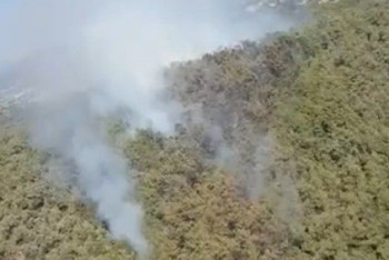 Фотография к новости: Лесной пожар разгорелся в Бодруме