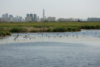 Фотография к новости: Суд обязал установить водоохранные зоны и полосы на группе озер Малый Талдыколь в Нур-Султане
