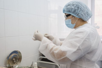 Фотография к новости: Первый случай оспы обезьян подтвердили в России