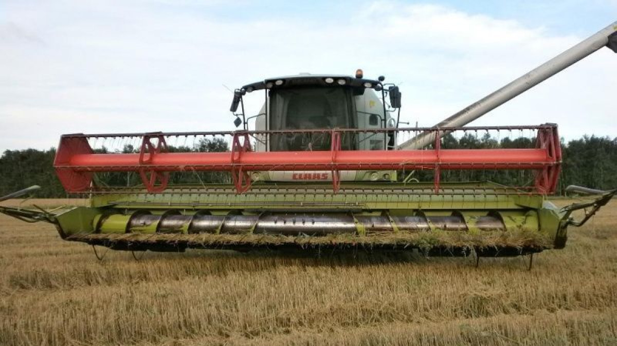 commons.wikimedia.org