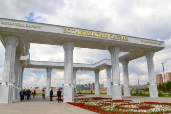 Фотография к новости: "Ради наживы они готовы уничтожить результаты нашего труда". Как астанчане губят ботанический сад