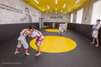 Фотография к новости: Шымкентские чиновники подозреваются в хищении в рамках программы Artsport