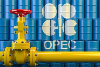 Фотография к новости: ОПЕК: в 2023 году мировой спрос на нефть вырастет на два миллиона баррелей в сутки