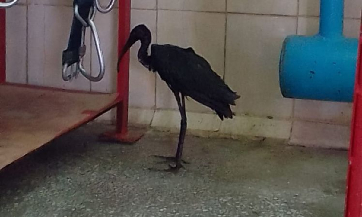 пресс-служба &quot;МАЭК-Казатомпром&quot;