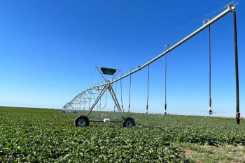 Фотография к новости: Фермерам Казахстана подняли закупочную стоимость сахарной свеклы в полтора раза