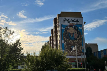 Фотография к новости: "Цвета дают свой вайб": авторы муралов в Нур-Султане рассказали о работе "на высоте"