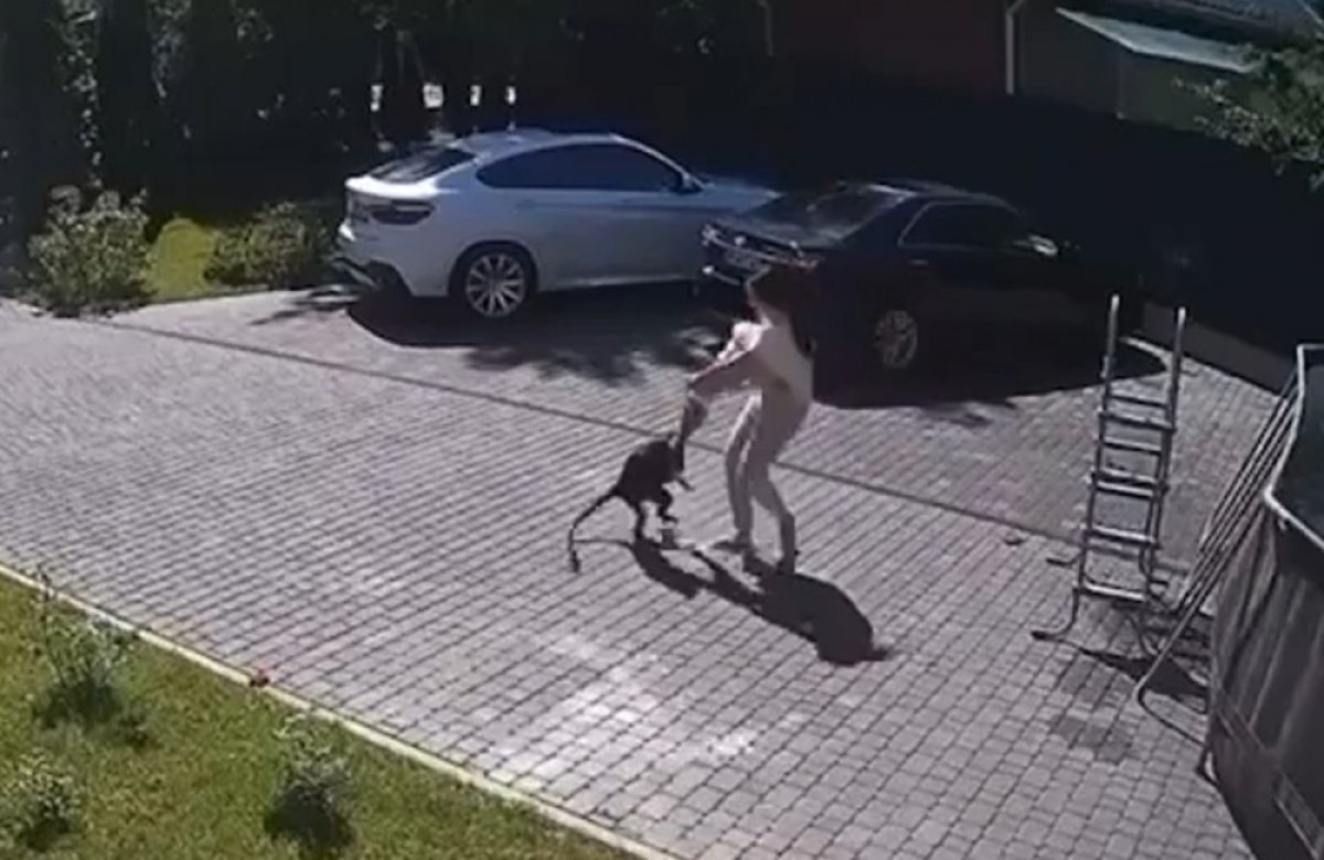 кадр из видео