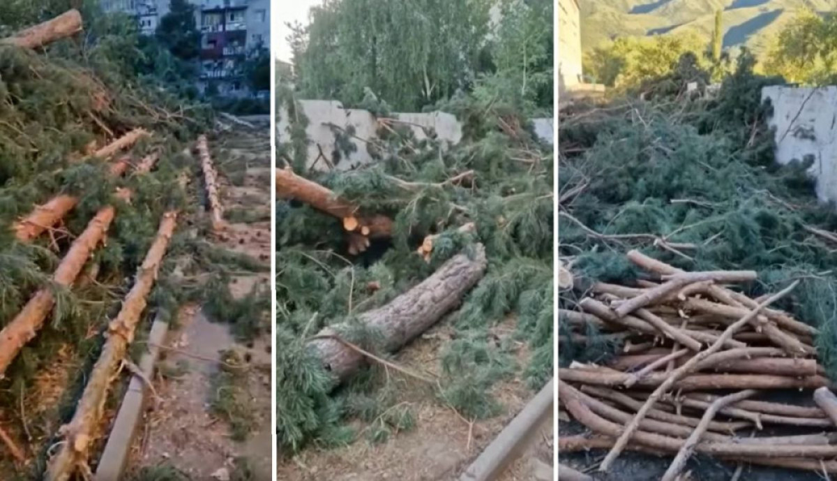 кадры из видео