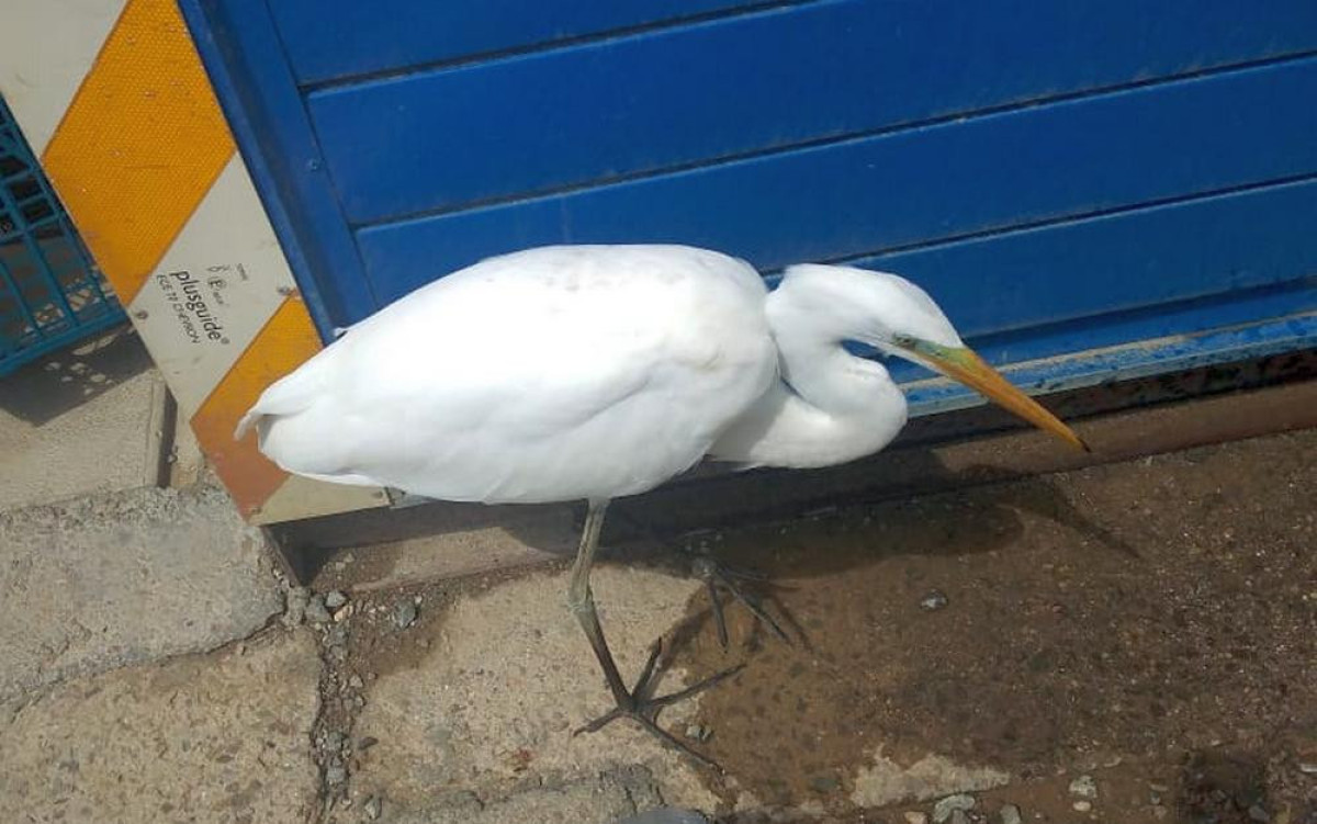 Фото предоставлено рабочими месторождения