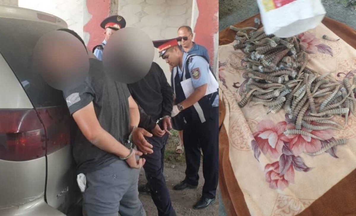 ДП Алматинской области