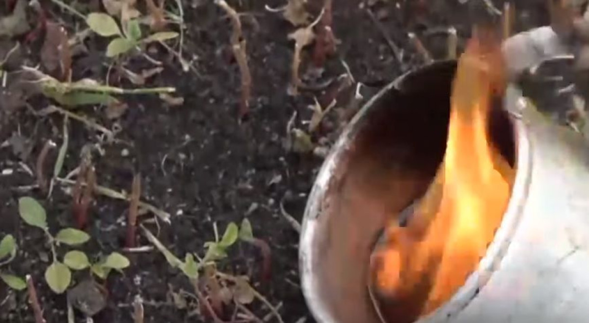 кадр из репортажа телеканала &quot;Хабар 24&quot;