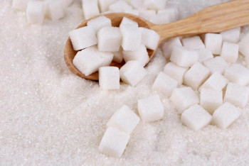 Фотография к новости: Cахаром обеспечат казахстанские предприятия общепита — Минсельхоз