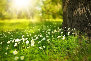 Фотография к новости: Какой будет погода в Казахстане 29 июля