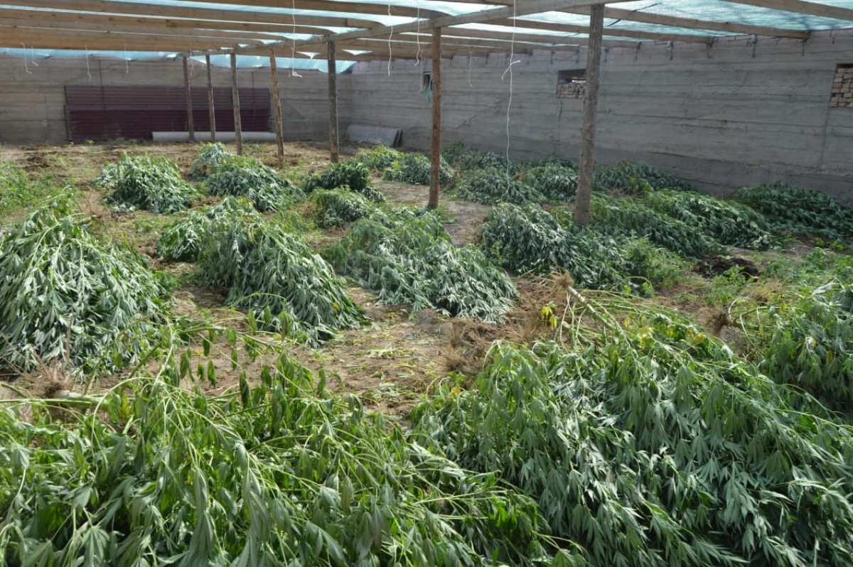 ДП Туркестанской области