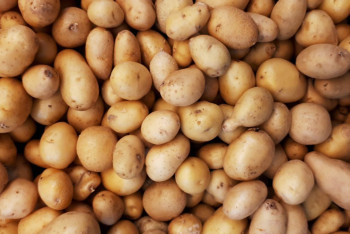 Фотография к новости: За махинации с субсидиями осудили работников АПК в Костанайской области