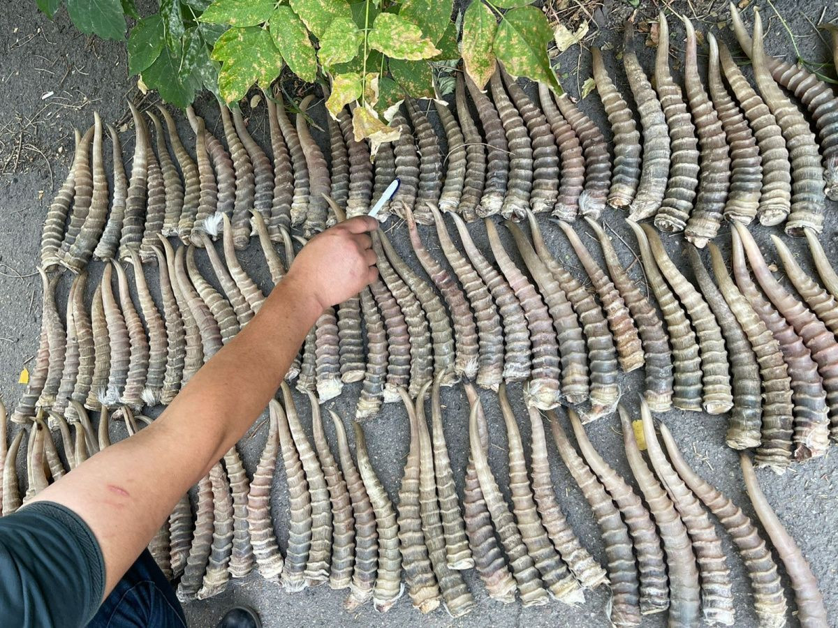 ДП Алматинской области