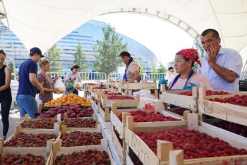 Фотография к новости: Запастись продуктами на зиму на сельхозярмарках смогут жители Нур-Султана