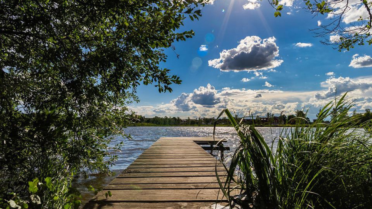 Фото: pixabay.com