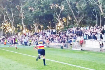 Фотография к новости: Десятки людей рухнули с трибуны на стадионе в Австралии