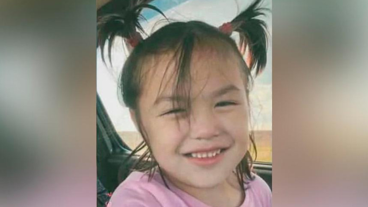 Пропавшую пятилетнюю девочку ищут в Костанайской области