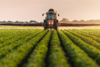 Фотография к новости: Микрокредиты на сельхозпроекты получат жители сел и малых городов