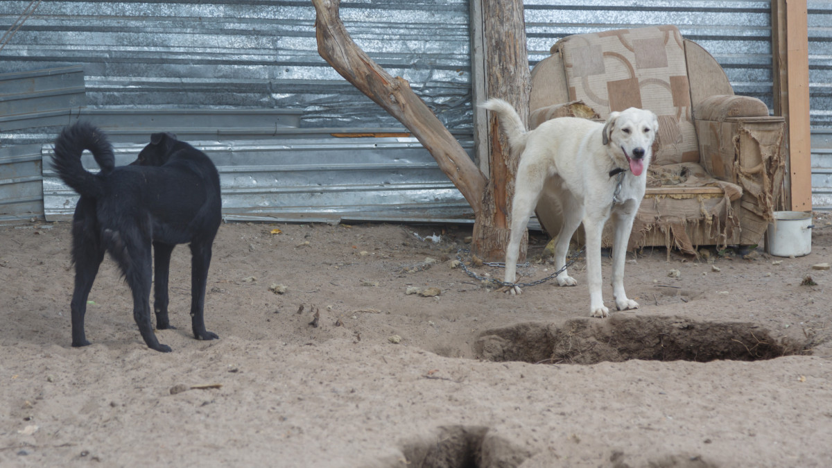 иллюстративное/BaigeNews.kz