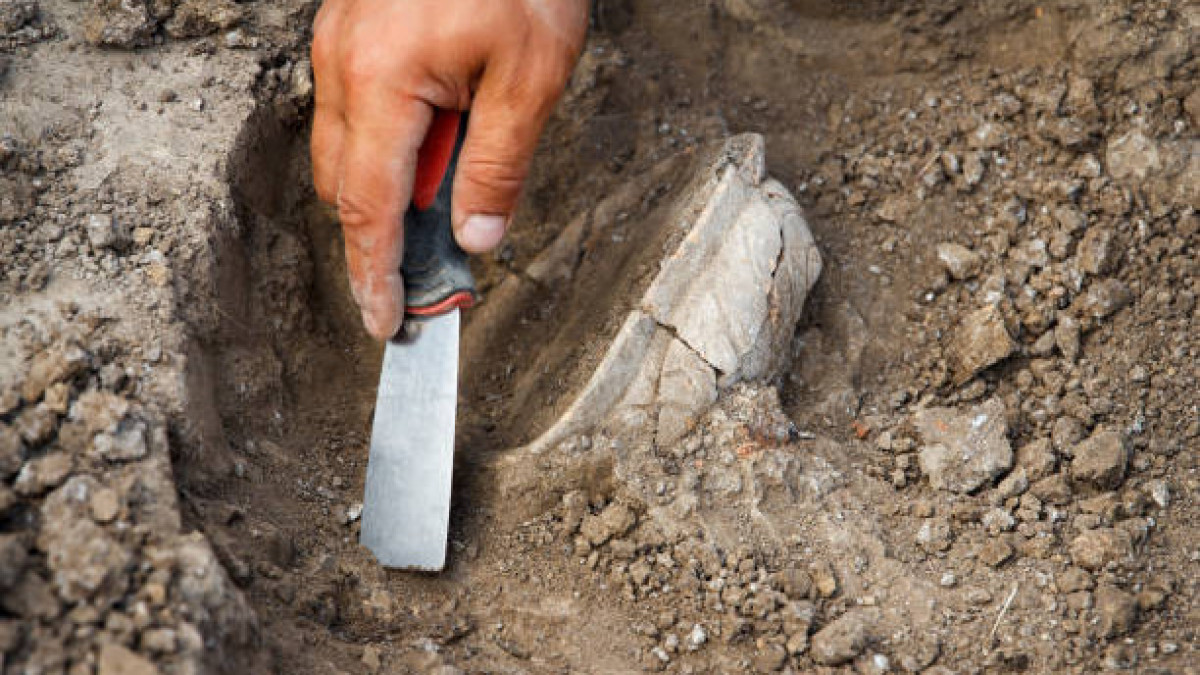 pixabay.com/ иллюстративное фото