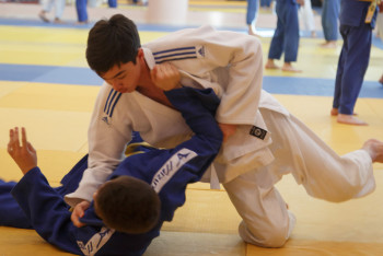 Фотография к новости: МКС: Выдача ваучеров по программе Art Sport - фейк