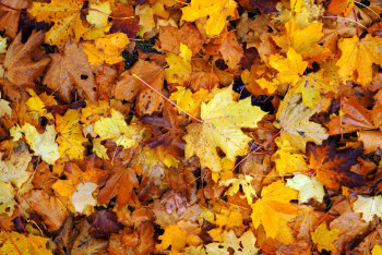 Фотография к новости: Предстоящие сентябрь и октябрь прогнозируются теплыми и сухими - Казгидромет