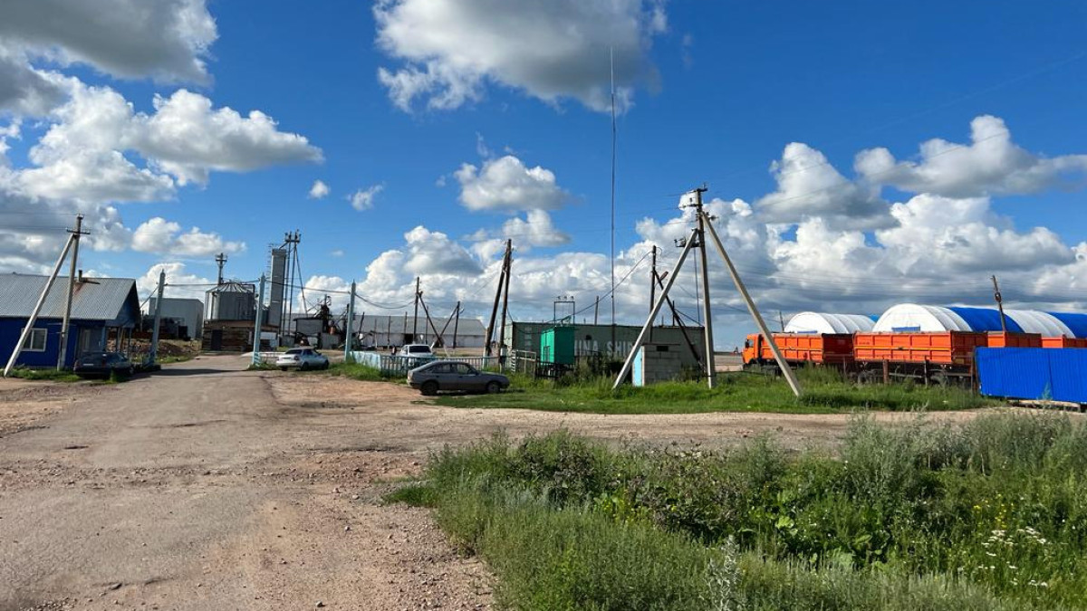 Асель Турар
