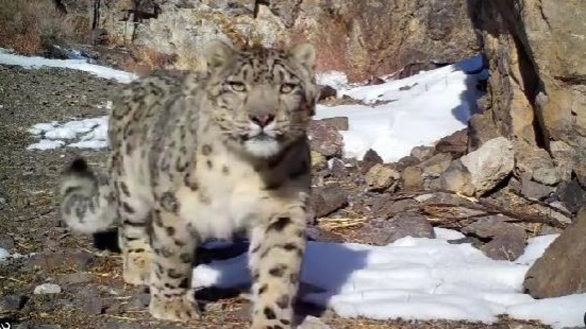 instagram.com/qazfwc