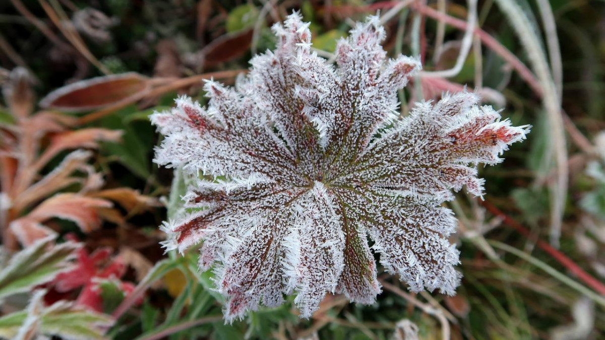 pixabay.com/ иллюстративное фото