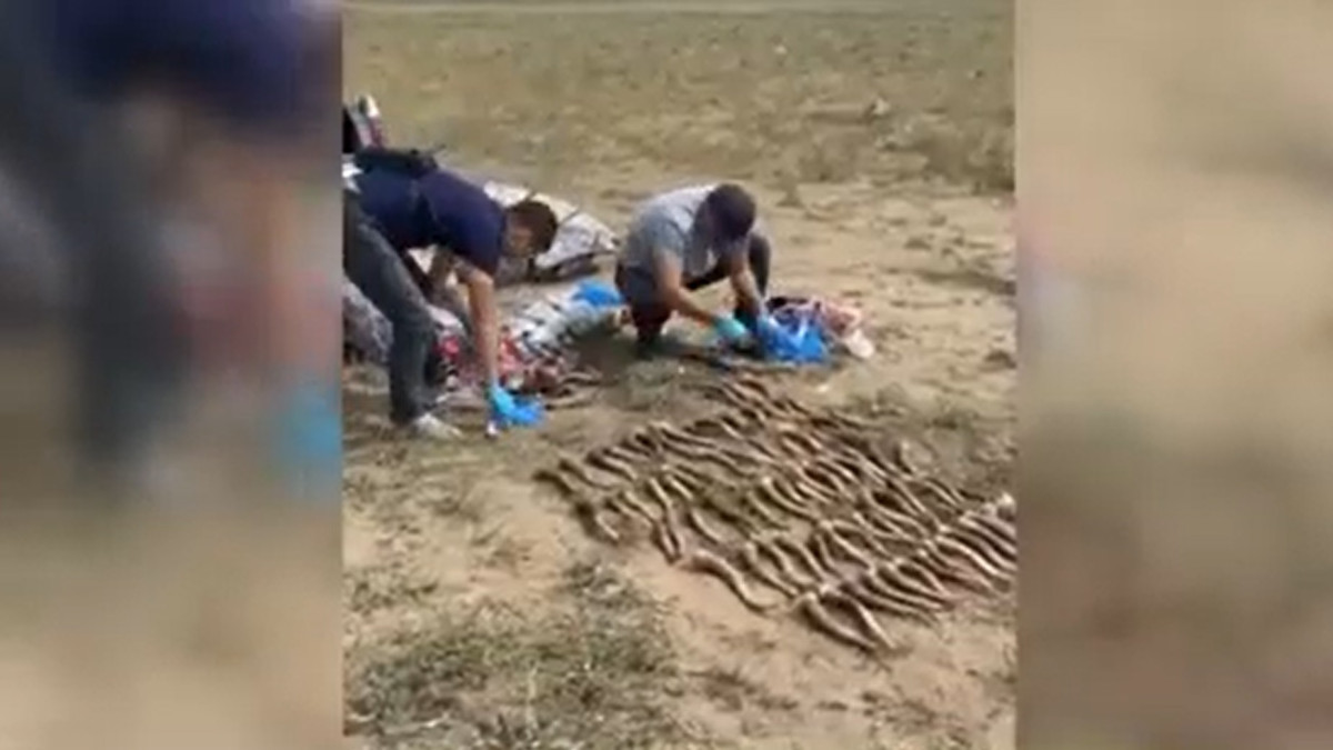 кадр из видео