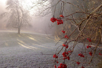 Фотография к новости: Заморозки и пыльные бури ожидаются в Казахстане 22 августа