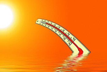 Фотография к новости: На севере Казахстана потеплеет до +30 градусов